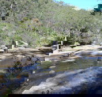 Frere's Crossing Bushwalk - Palm Beach Accommodation
