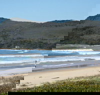 Geebung Picnic Area - Palm Beach Accommodation