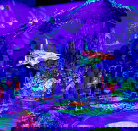 Glowing Rooms 3D Mini Golf - Palm Beach Accommodation