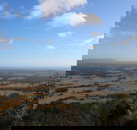 Heaton State Forest - Watagan Mountains - Palm Beach Accommodation