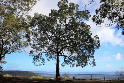 Heaton State Forest - Watagan Mountains - Palm Beach Accommodation 2