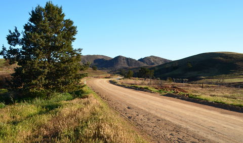 Johnburgh Loop Tour - Palm Beach Accommodation 0