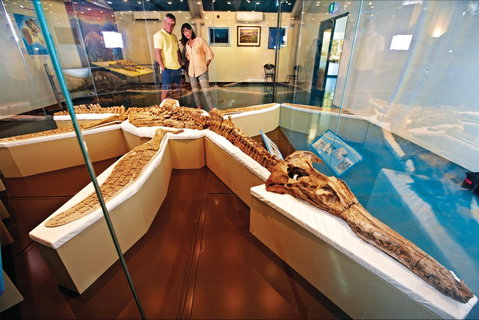 Kronosaurus Korner - Palm Beach Accommodation 1