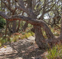 Middle Lagoon Walking Track - Palm Beach Accommodation