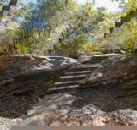 Mooney Mooney nature walk - Palm Beach Accommodation