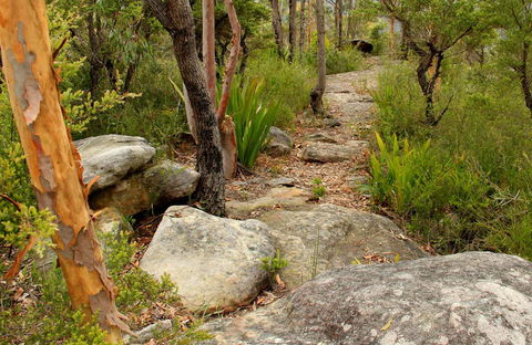 Mount Olive Trail - Palm Beach Accommodation 0