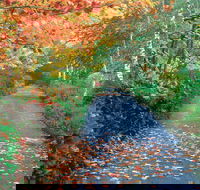 Mount Wilson and Mount Irvine