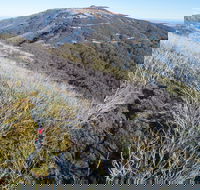 Mt Buller Bike Park - Palm Beach Accommodation