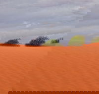 Munga-Thirri - Simpson Desert Conservation Park and Regional Reserve - Palm Beach Accommodation