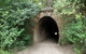 Mushroom Tunnel - thumb 0