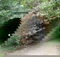 Mushroom Tunnel - Palm Beach Accommodation