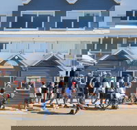 Newcastle Shoreline Walk - Palm Beach Accommodation