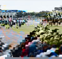Oakbank - Palm Beach Accommodation