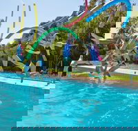 Oaklands War Memorial Swimming Pool - Palm Beach Accommodation