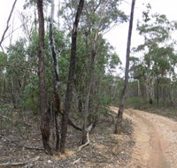 Paddys Ranges State Park - Palm Beach Accommodation
