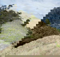 Pieries Peak Walking Track - Palm Beach Accommodation