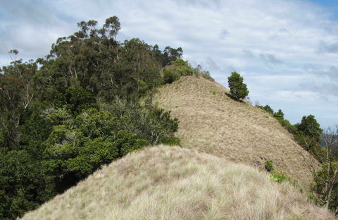 Pieries Peak Walking Track - Palm Beach Accommodation 0
