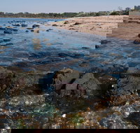 Point Cook Marine Sanctuary - Palm Beach Accommodation