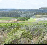 Princess Hills Girringun National Park - Palm Beach Accommodation