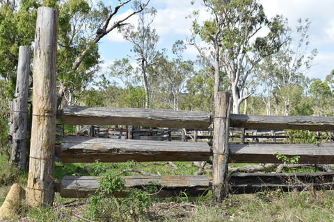 Princess Hills, Girringun National Park - Palm Beach Accommodation 2