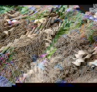 Queanbeyan Park Market - Palm Beach Accommodation