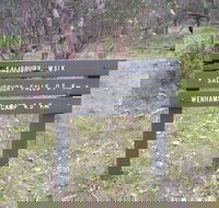 Salisbury Falls Walk - Palm Beach Accommodation