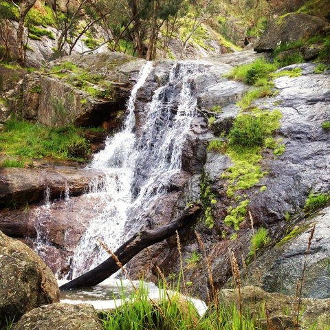 Salisbury Falls Walk - Palm Beach Accommodation 1