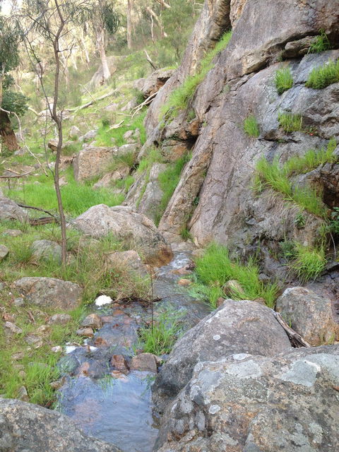 Salisbury Falls Walk - Palm Beach Accommodation 2