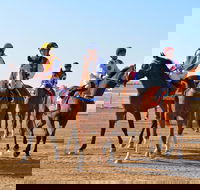 Simpson Desert Racing Carnival Trail - Palm Beach Accommodation