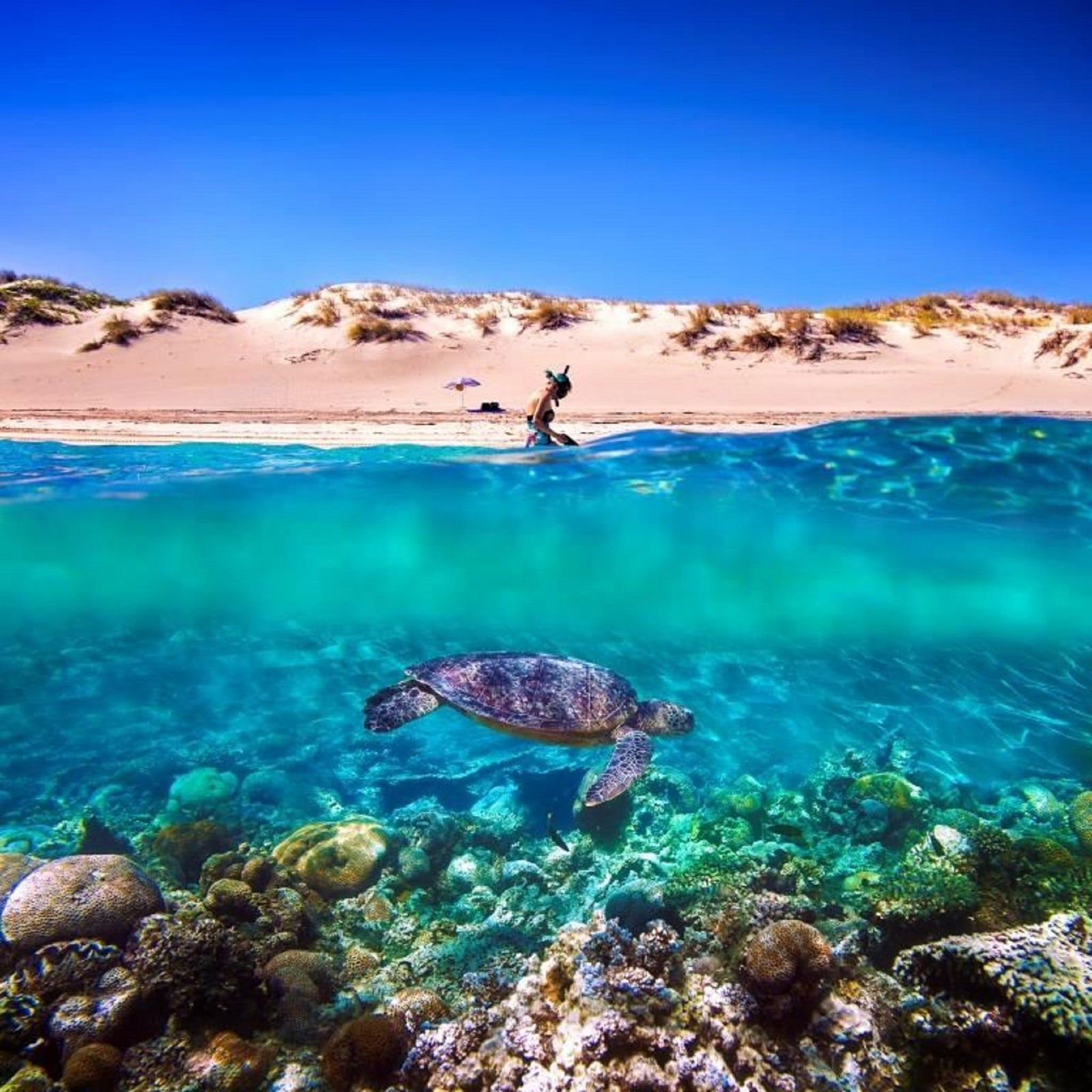 Cape Range National Park WA Palm Beach Accommodation