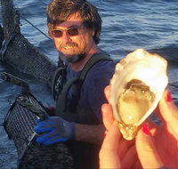 Southern Yorke Oysters - Palm Beach Accommodation