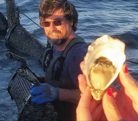 Southern Yorke Oysters - Palm Beach Accommodation 0