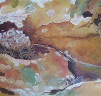 Spiral Gallery - Palm Beach Accommodation