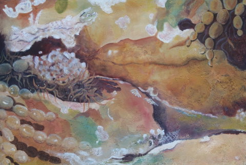 Spiral Gallery - Palm Beach Accommodation 0