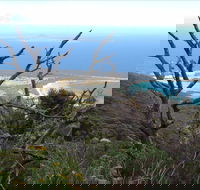 Strzelecki Peaks Great Short Walk - Palm Beach Accommodation