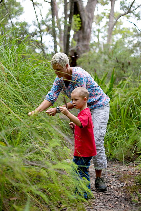 Strickland State Forest - Palm Beach Accommodation 2