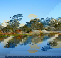 The Gums - Palm Beach Accommodation