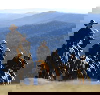 Victoria's High Country - Palm Beach Accommodation