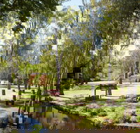 Wangaratta's Significant Trees Walks - Palm Beach Accommodation