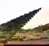 Whyalla Conservation Park - Palm Beach Accommodation