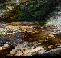 Wilson River picnic area - Palm Beach Accommodation