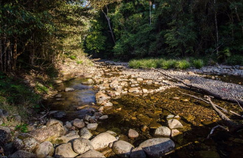 Wilson River Picnic Area - Palm Beach Accommodation 0