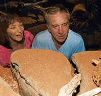 At the Creek Visitor Information Centre - Palm Beach Accommodation