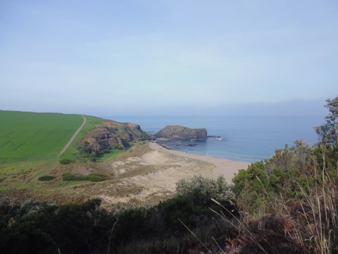 Bushrangers Bay - Palm Beach Accommodation 1