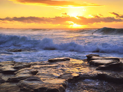 Coalcliff Beach - Palm Beach Accommodation 0