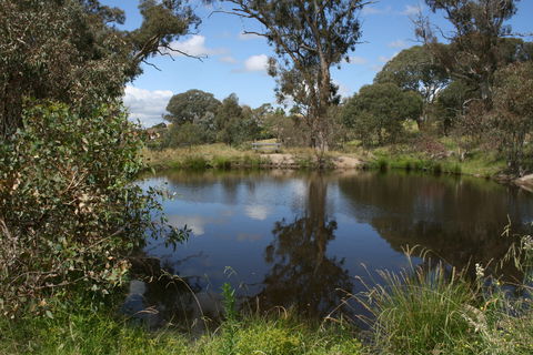 Cooleman Ridge - Palm Beach Accommodation 0