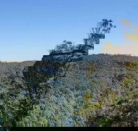 Cooks Nose Walking Track - Palm Beach Accommodation