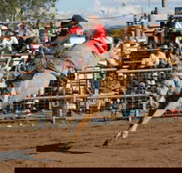 Coonamble - Palm Beach Accommodation