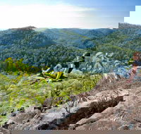 Dubbo Gully Loop Trail - Palm Beach Accommodation
