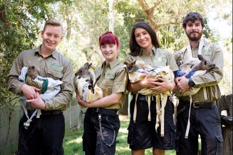 Featherdale Wildlife Park - Palm Beach Accommodation 0